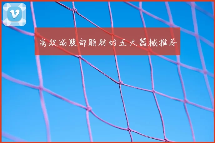 高效减腹部脂肪的五大器械推荐