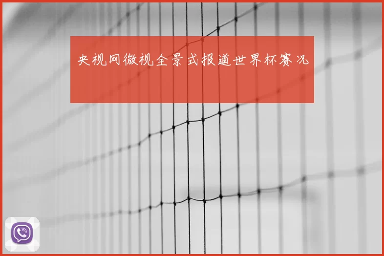央视网微视全景式报道世界杯赛况