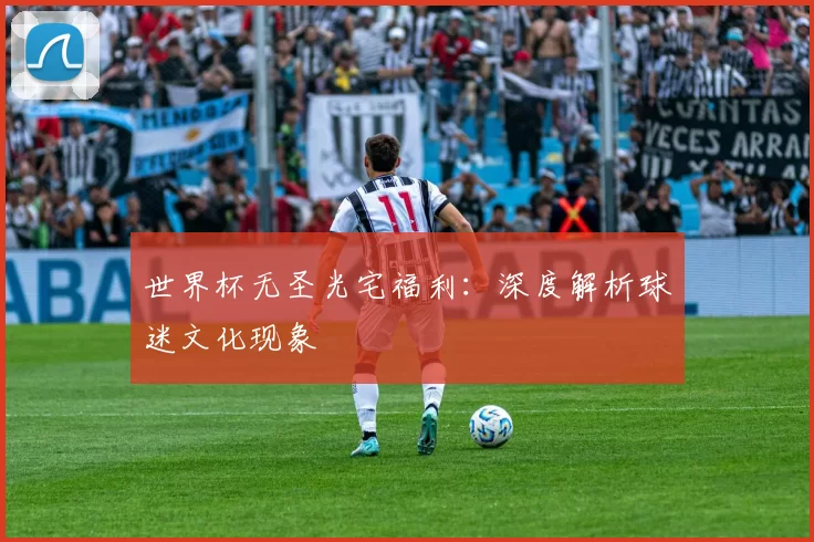 世界杯无圣光宅福利：深度解析球迷文化现象