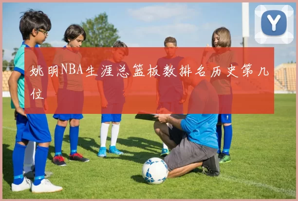 姚明NBA生涯总篮板数排名历史第几位