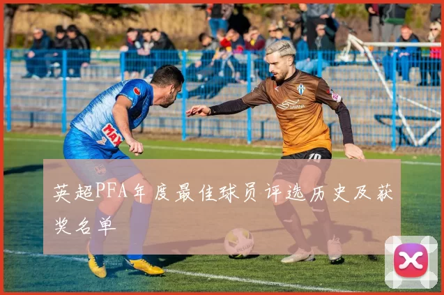 英超PFA年度最佳球员评选历史及获奖名单