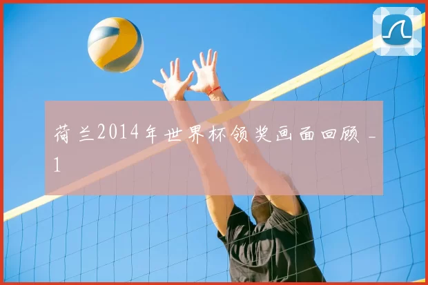荷兰2014年世界杯领奖画面回顾 _1
