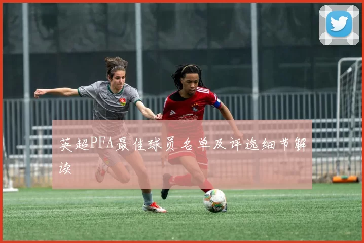 英超PFA最佳球员名单及评选细节解读
