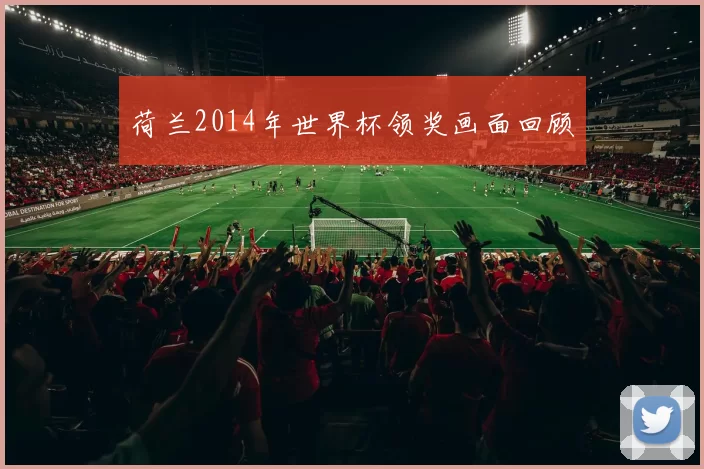 荷兰2014年世界杯领奖画面回顾
