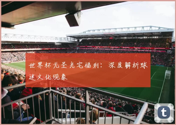 世界杯无圣光宅福利：深度解析球迷文化现象