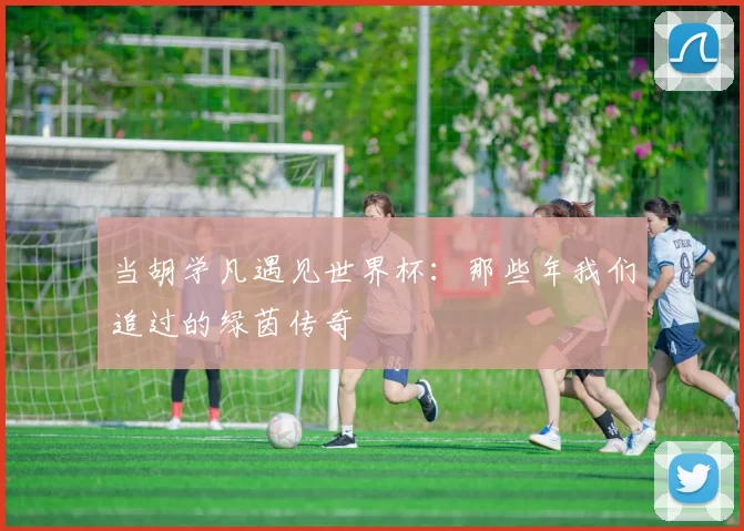 当胡学凡遇见世界杯：那些年我们追过的绿茵传奇
