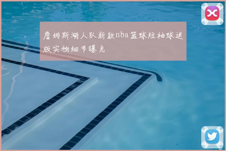詹姆斯湖人队新款nba篮球短袖球迷版实物细节曝光