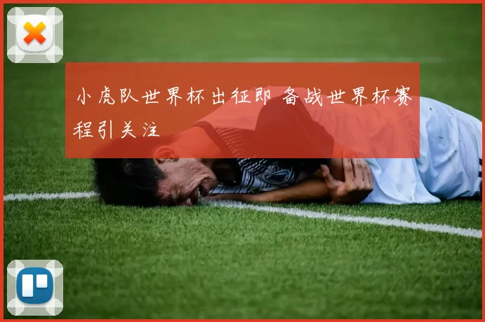 小虎队世界杯出征即 备战世界杯赛程引关注