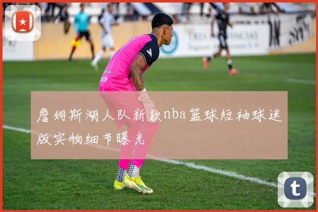 詹姆斯湖人队新款nba篮球短袖球迷版实物细节曝光