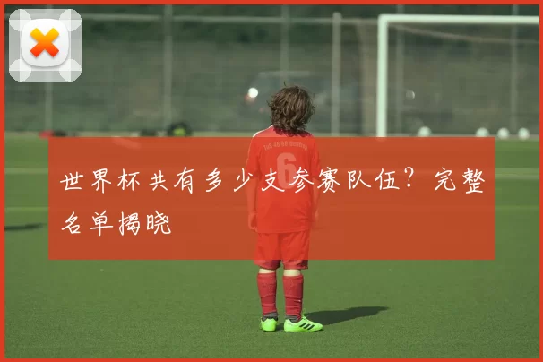 世界杯共有多少支参赛队伍？完整名单揭晓