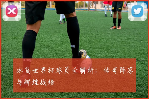 冰岛世界杯球员全解析：传奇阵容与辉煌战绩